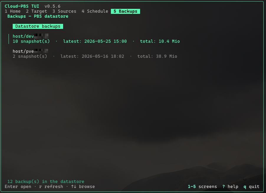 Backups screen: backup groups in the datastore, one row per host.
