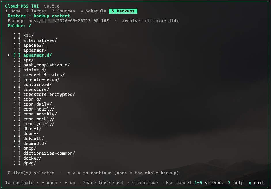 Restore screen: file-by-file selection inside a mounted archive.