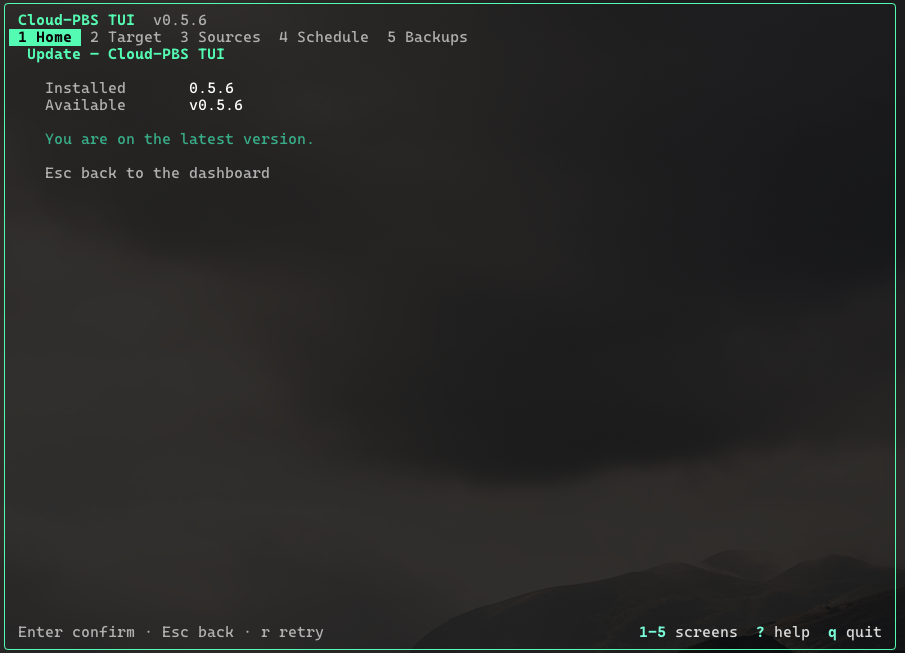 Update manager: shows the installed and latest available version.